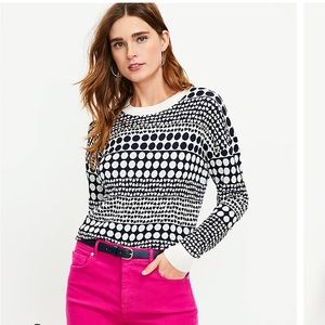 Loft heart dot sweater